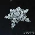 Frostbite