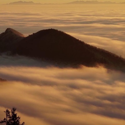 Arabian Nights 1 - Single