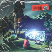 TV-Filled Meadows - Suincideme