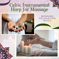 Celtic Harp Soundscapes - Celtic Instrumental Harp for Massage - Morning Relaxation Music artwork