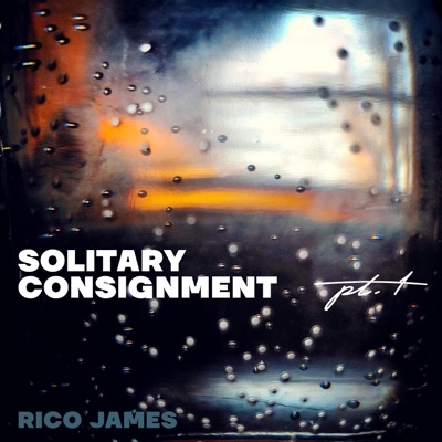 Solitary Consignment, Pt. 1