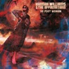 Hannah Williams & The Tastemakers - The Only Way out Is Through
