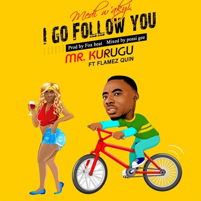 I Go Follow You (feat. Flamez Quin) [Medi W'akyi] - Single