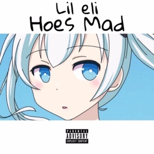 Hoes Mad - Single