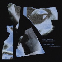 Take Your Time (Lowheads Remix) - Single - David Marston & Life on Planets
