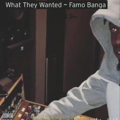 What They Wanted - Single