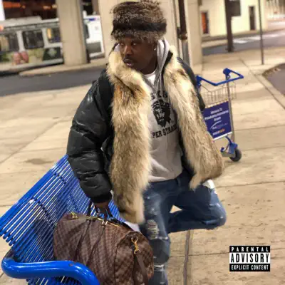 The Bag - Single - Troy Ave