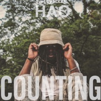Counting - Single - HAO