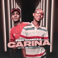 Pode Chamar a Carina - Single - MC Kal, MC Vigui & DJ PL