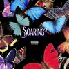 Soaring (feat. Callmesometime) - Single