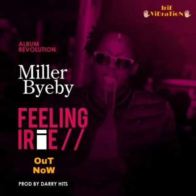Feeling Irie - Single
