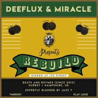 Rebuild - Single - Deeflux & Miracle