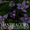 Mandragora (Goth Mix) - Jorge Ballesteros lyrics