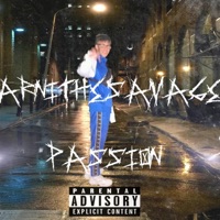 Passion - Single - ArniTheSavage