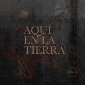 Aquí en la Tierra artwork