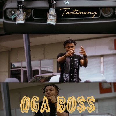 Testimony - Single