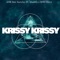 Krissy Krissy (feat. VladHQ & Dms Chris) - Amr Dee Huncho lyrics