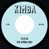 Tezeta (ትዝታ) (feat. Collin McCrary) - The Kimba Unit