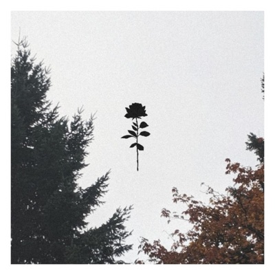 Lovesick (feat. SayWeCanFly) - Single