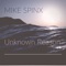 Unknown Reason (Instrumental Version) - Mike Spinx lyrics