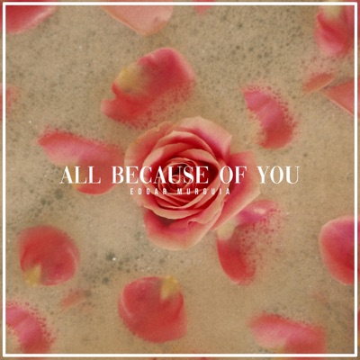 All Because of You - Single