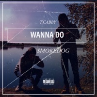 WANNA DO (feat. T. Cabby & $moke Dog) - Single - Ethan Peters Beats
