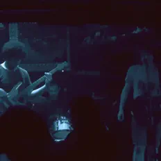 Listen to Elephant and Whale, watch music videos, read bio, see tour dates & more!