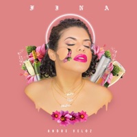 Fina (Fina Intermitente) - Single - Andre Veloz