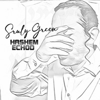 Hashem Echod - Single - Sruly Green
