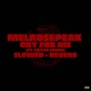 CRY FOR ME (feat. BRYAN CHERU) [SLOWED + REVERB] - Single