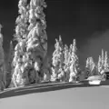 We Woke Up to Snow