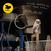 Salika, Molika (feat. Frode Haltli) artwork