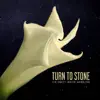 Stream & download Turn to Stone (feat. Maya De Vitry) - Single