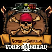 Voice Magician II artwork