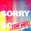 Stream & download Sorry (VIP Mix)