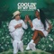 Coolin' By My Side (feat. Justine Skye) - DJ Cassidy lyrics