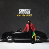 Shaggy - Friends (feat. Gene Noble)