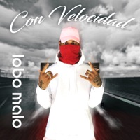 Con Velocidad - Single - Lobo Malo