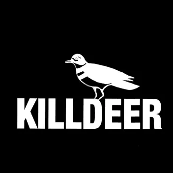 Killdeer album cover