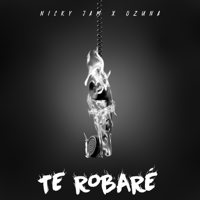 Nicky Jam & Ozuna - Te Robaré artwork