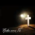 Nadie Como Tu