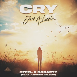 Cry (Just a Little) [feat. Amanda Wilson] - Single