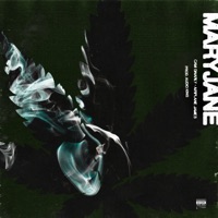 Maryjane (feat. Airplane James) - Single - Cam Gnarly