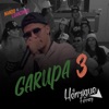 Garupa, Pt. 3 (feat. MC Nando & MC Luanzinho) - Single