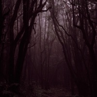 Sleepless Nights (feat. Sorrow) - Single - Exist Strategy