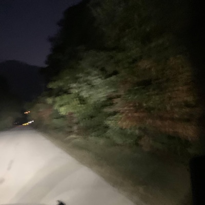 what have you done (feat. Aidan McGuigan) - Single