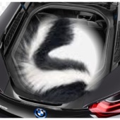 Skunk in the Trunk artwork