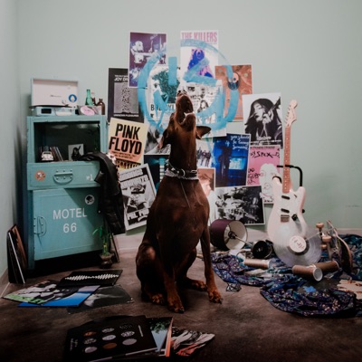 Enamorarme Así - Single