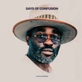 Days of Confusion artwork