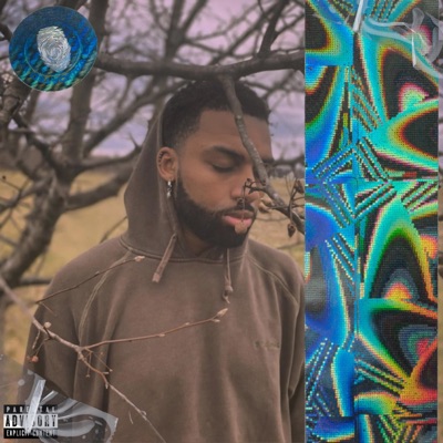 Never Enough (feat. Gr3yDiamond) - Single